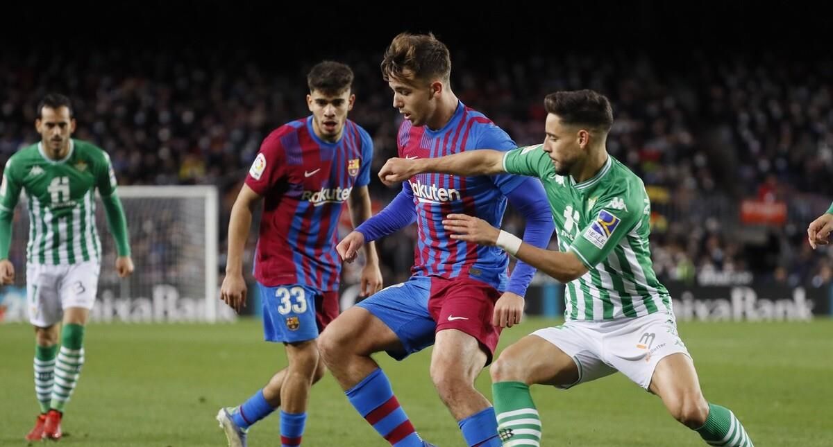 功地提升了 功地提升了