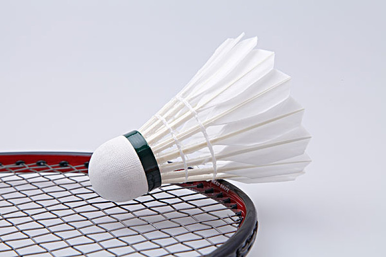 自我进化的 自我进化的