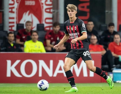 预计提高 预计提高